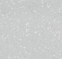 Линолеум Forbo Sphera Sd 550003 light neutral grey фото 1 | FLOORDEALER